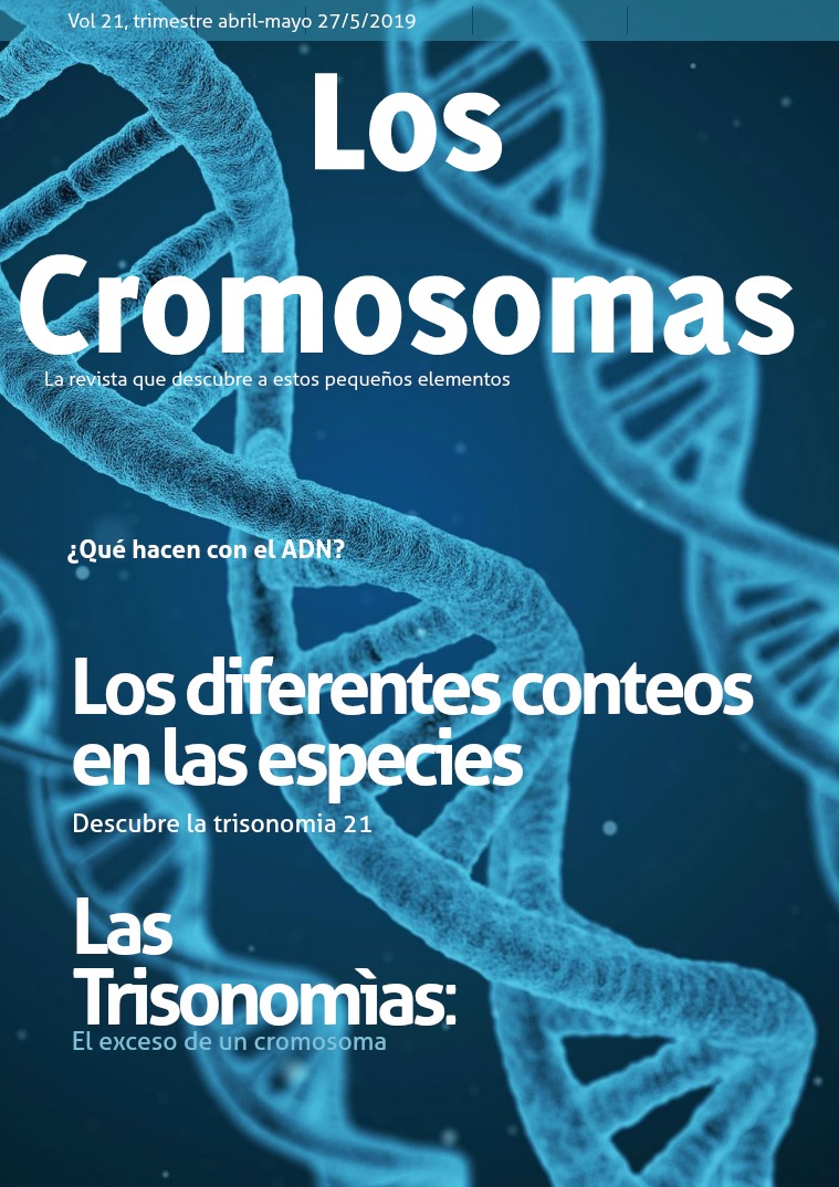 Los Cromosomas Los Cromosomas