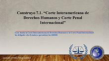 Corte Interamericana de Derechos Humanos y Corte Penal Internacional