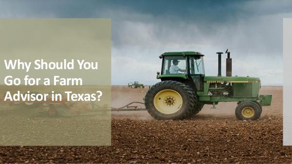 Why Should You Go for a Farm Advisor in Texas? Why Should You Go for a Farm Advisor