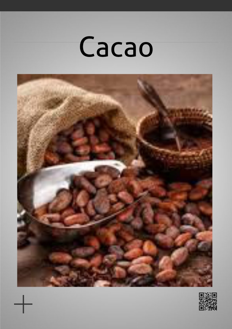 El cacao 14 paginas