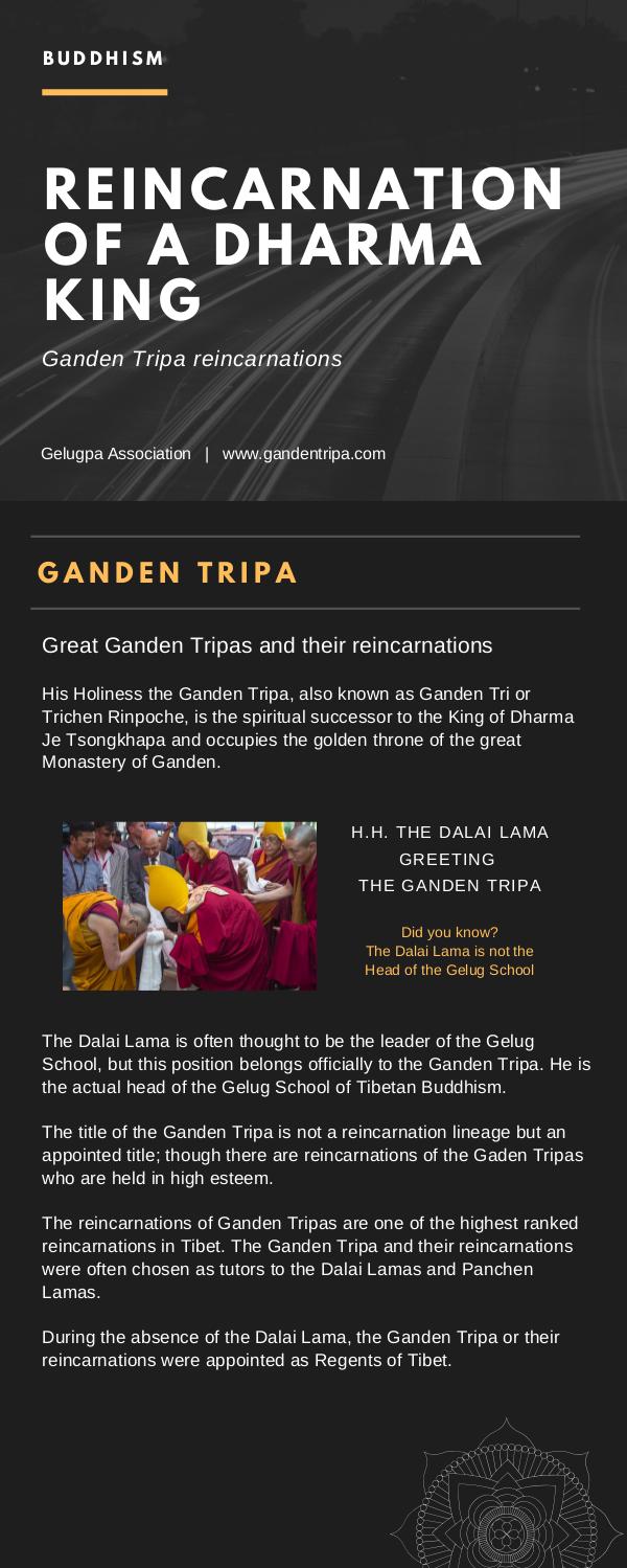 Reincarnation Of A Dharma King Ganden Tripa REINCARNATION-OF-A-DHARMA-KING-GANDEN-TRIPA