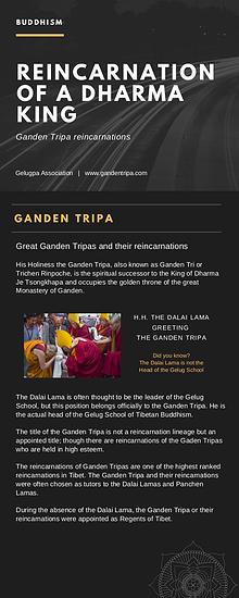 Reincarnation Of A Dharma King Ganden Tripa