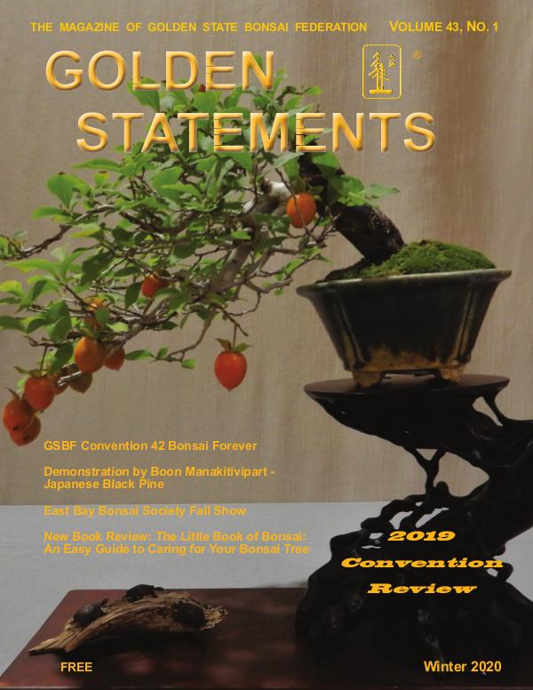 Golden Statements Magazine Winter Issue 2020