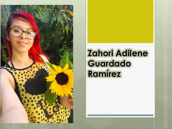 My portafolio Zahori Adilene Guardado Ramírez