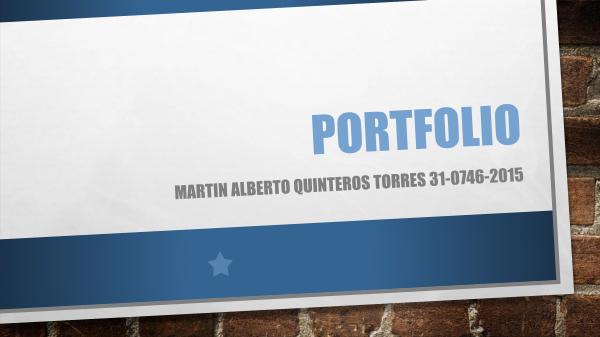 PORTFOLIO Martin