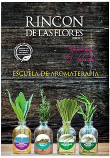 Catálogo Rincón de las flores 2019 segundo semestre