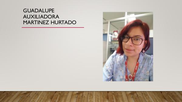 Job´s Guadalupe auxiliadora Martinez hurtado