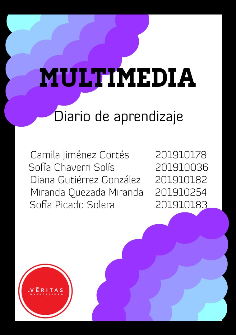 Diario de Aprendizaje, Multimedia 2(clone)