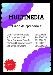 Diario de Aprendizaje, Multimedia