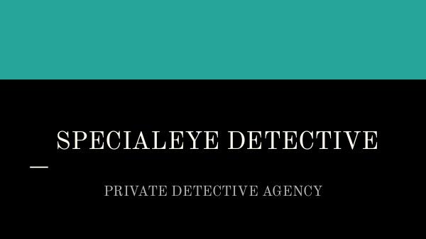 Best Private Detective Agency In Pune SPECIALEYE DETECTIVE 1