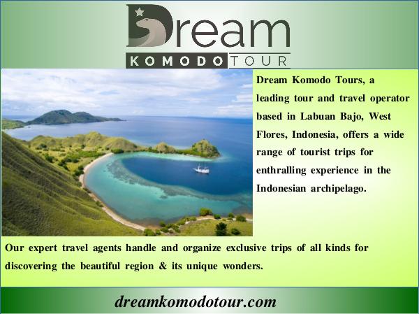 Komodo Tour Komodo island tour price