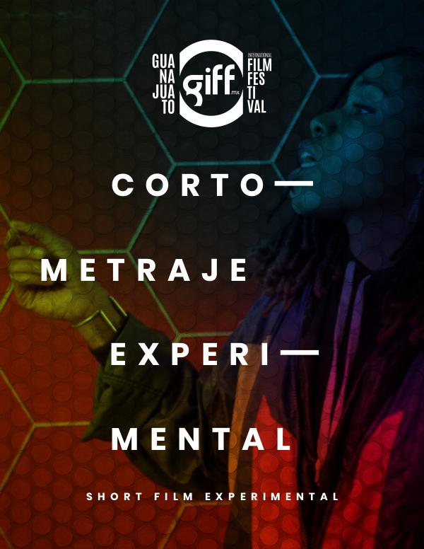 Catálogo General GIFF 2019 S. O. Cortometraje Experimental
