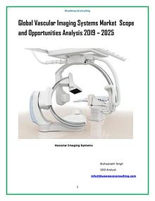 Global Vascular Imaging Systems  Market Outlook 2019-2025