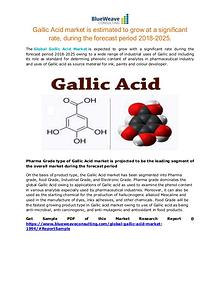 Gallic Acid market Outlook 2025