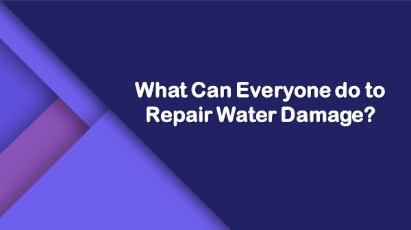 What Can Everyone do to Repair Water Damage