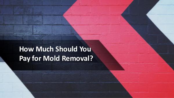 AdvantaClean of Fort Lauderdale How Much Should You Pay for Mold Removal