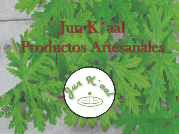 Mi primera publicacion Jun_K´aal_PRESENTACION_de_productos (1)