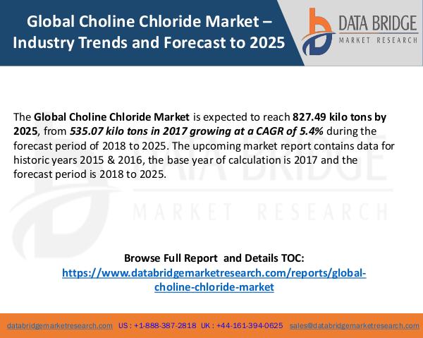 Chemical And Material Global Choline Chloride Market