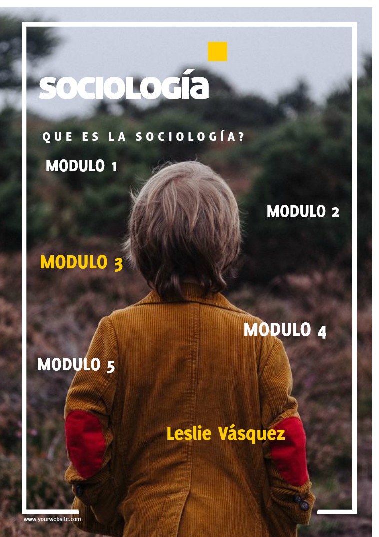 Sociología Módulos de la Sociología