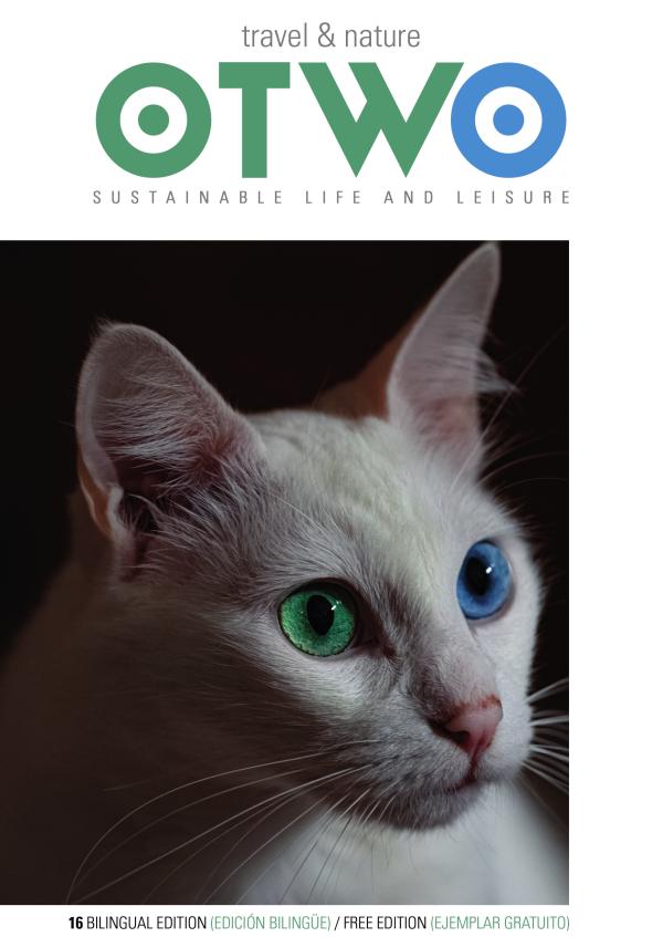 OTWO Magazine November 2020