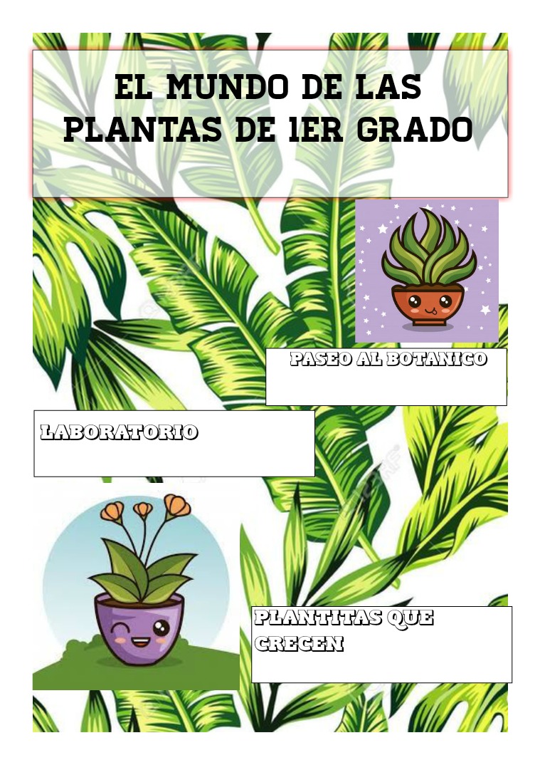 Las plantas las plantas