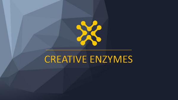Creative Enzymes