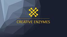 Creative Enzymes product