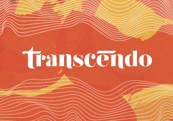 Brandbook Transcendo brandbook-transcendo-final
