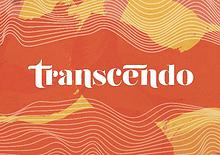 Brandbook Transcendo