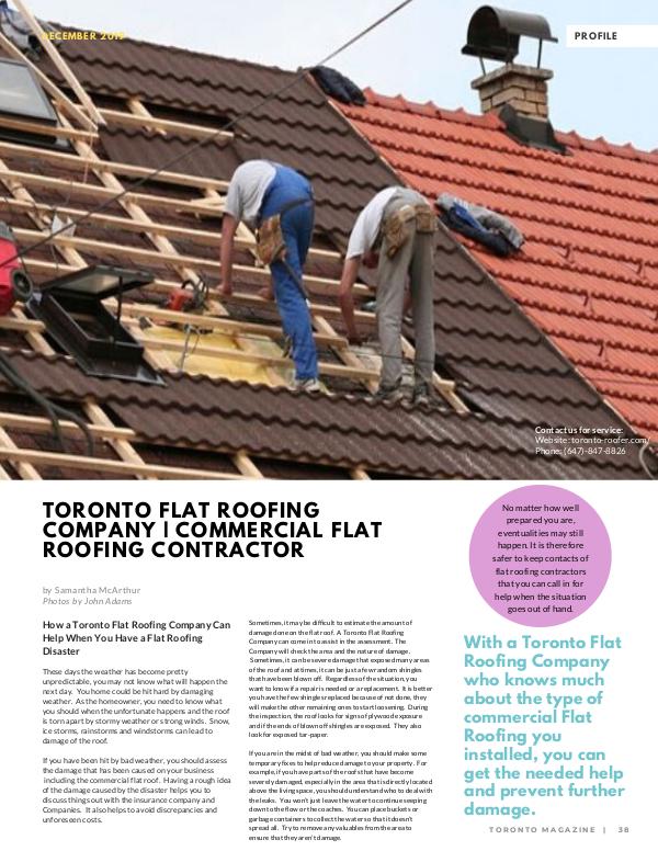 How a Toronto Flat Roofing Company Can Help When You Have a Flat Roof Painter's Profile Magazine Page
