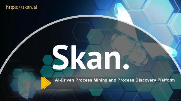Skan Business Process Tenets Skan Business Process Tenets
