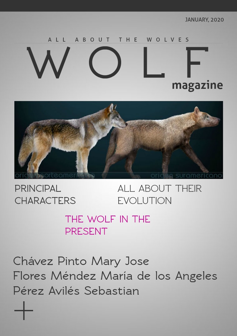 wolves Magazine 508 B