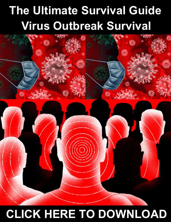 Surviving The 2020 Coronavirus Outbreak Surviving The 2020 Coronavirus Outbreak