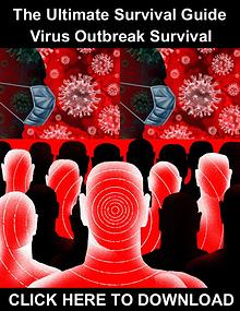Surviving The 2020 Coronavirus Outbreak
