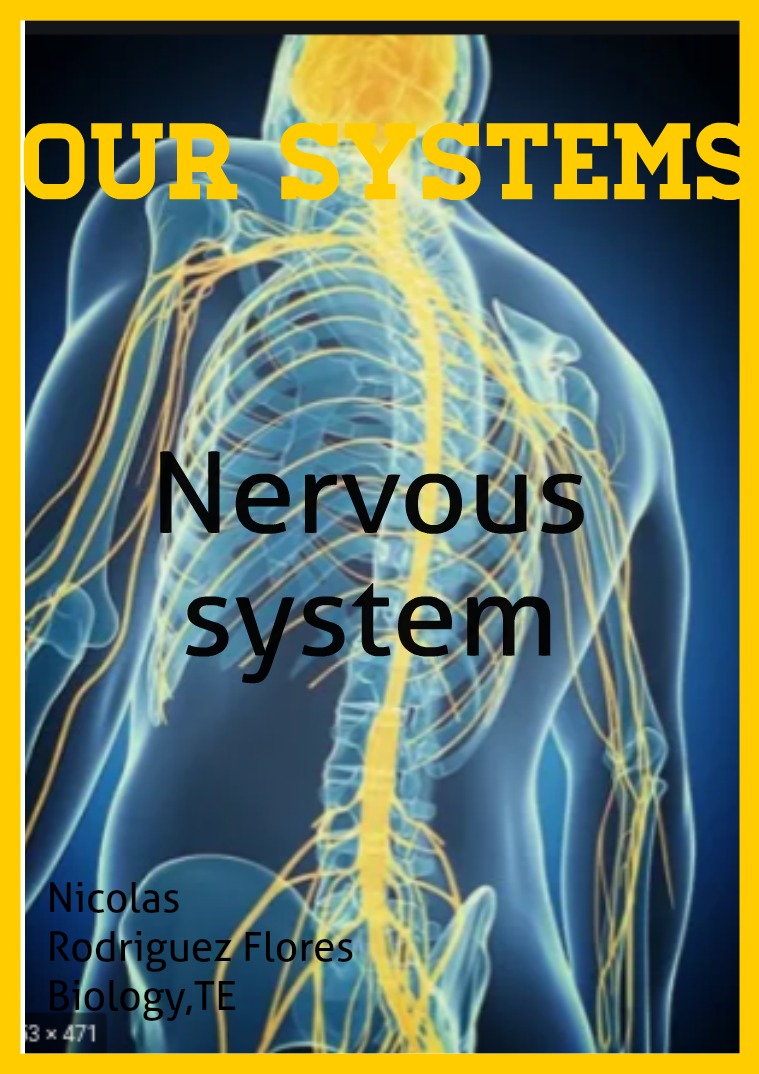 Nervous system Nervous System