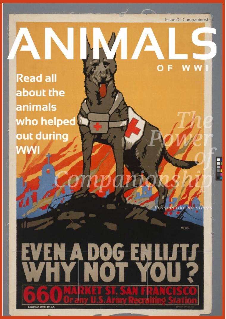 Animals of WWI