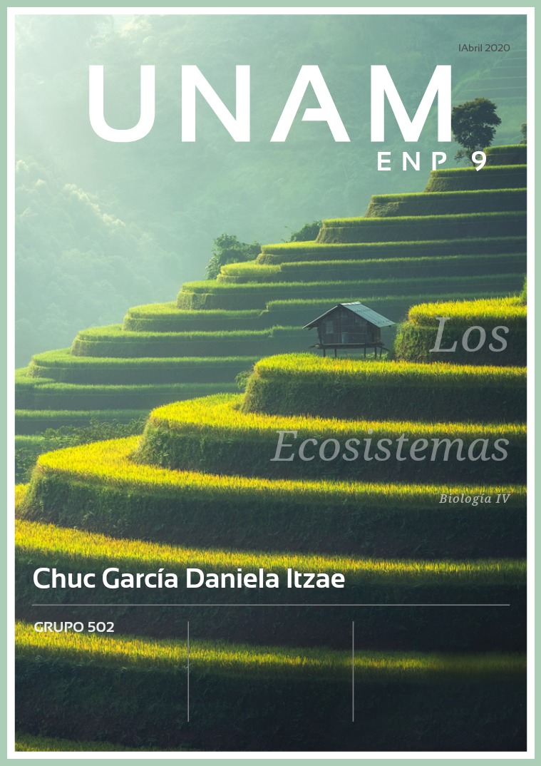 Revista tipos de ecosistemas 502 Chuc García Daniela Itzae Tipos de ecosistemas