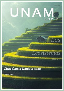 Revista tipos de ecosistemas 502 Chuc García Daniela Itzae
