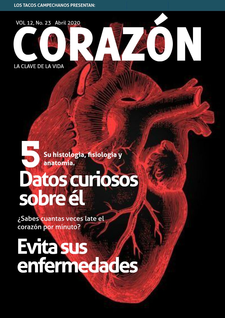 El corazón, la bomba de la vida Corazon
