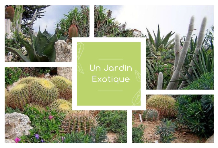 Catalogue 2020 - Un Jardin Exotique Catalogue 2020 - Un jardin Exotique