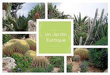 Catalogue 2020 - Un Jardin Exotique