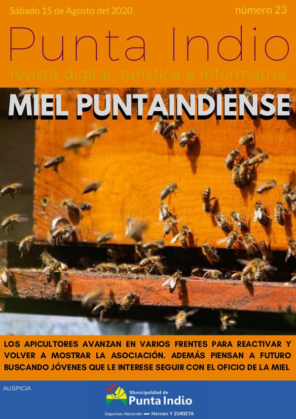 Revista Punta Indio