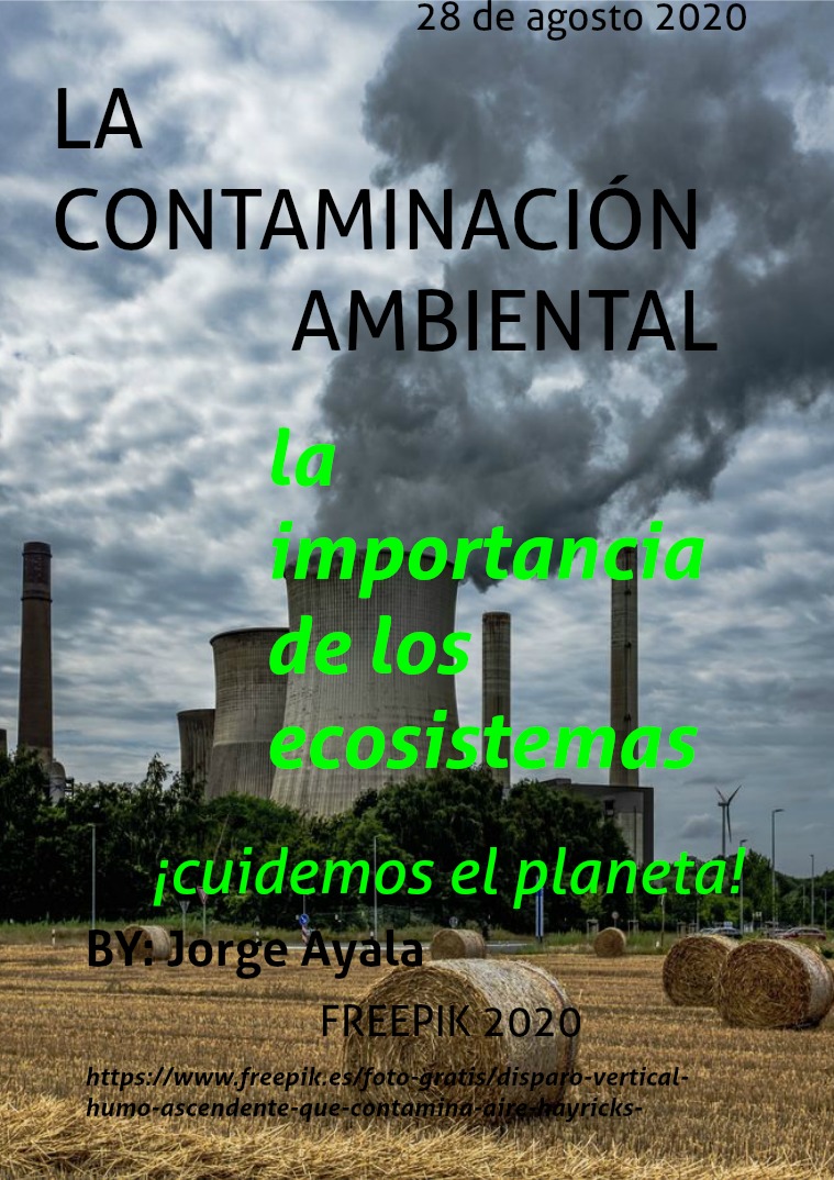 La Contaminación Ambiental. 28 de agosto 2020