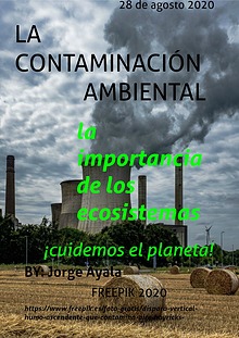 La Contaminación Ambiental.