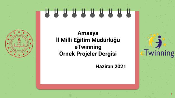 eTwinning Amasya Örnek Projeler